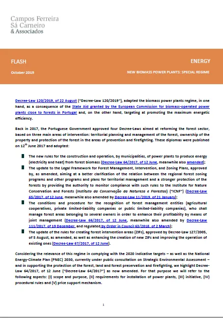 New Biomass Power Plants: Special regime