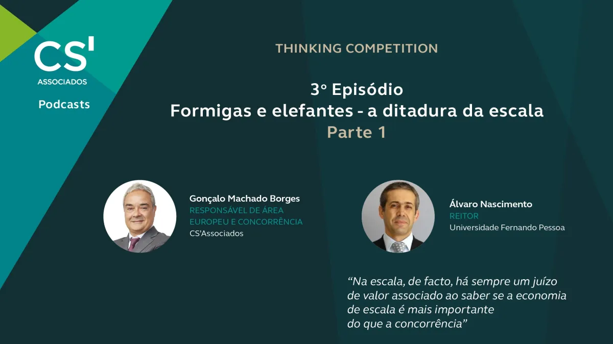 Thinking Competition - Formigas e elefantes – a ditadura da escala (Parte 1)
